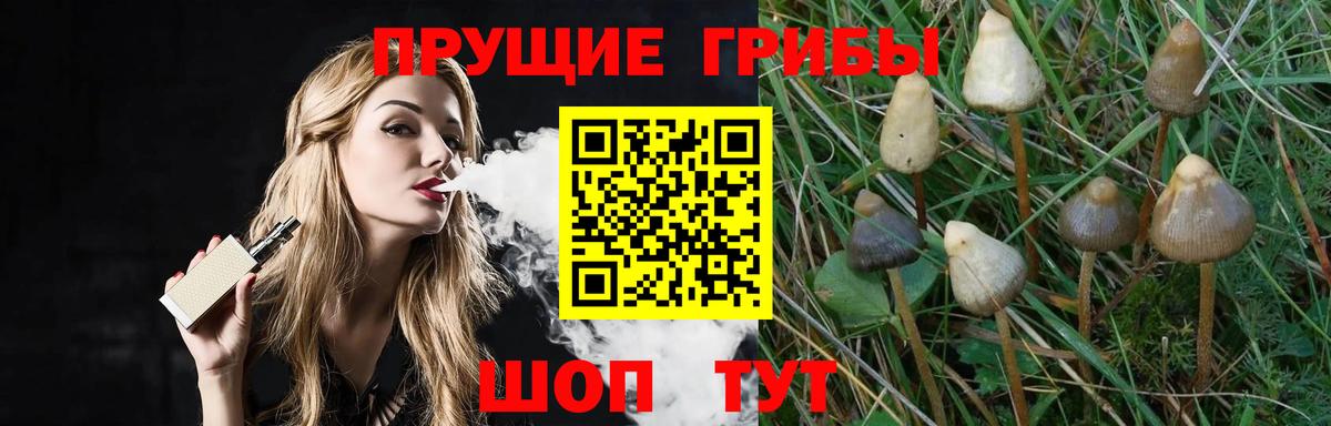 даркнет сайт  Галлюциногенные грибы Cubensis  Псилоцибиновые грибы мухоморы  Вход с VPN  Люберцы 
